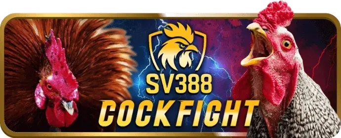 Câu hỏi thường gặp về đăng ký win69 casino